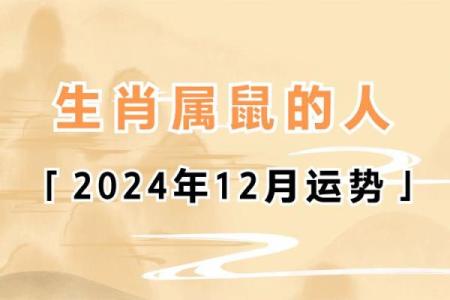 属鼠人运势指南：如何把握新一年的幸运机会