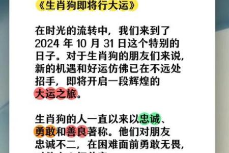 从属狗生辰八字看你的财运与婚姻运势