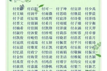 给男孩宝宝起名字的注意事项与技巧