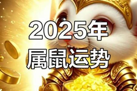 属鼠人在职场与爱情中的运势变化