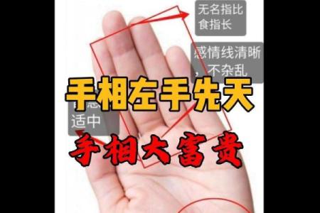 财富与命运：解析富贵命的手纹特征