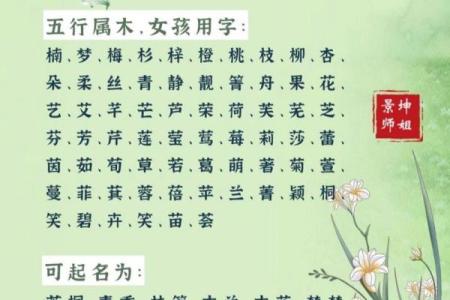 宝宝五行解析：为你的孩子选择最合适的命名与运势