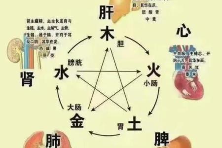 出生属什么五行 你知道吗？揭秘五行与命运的关系