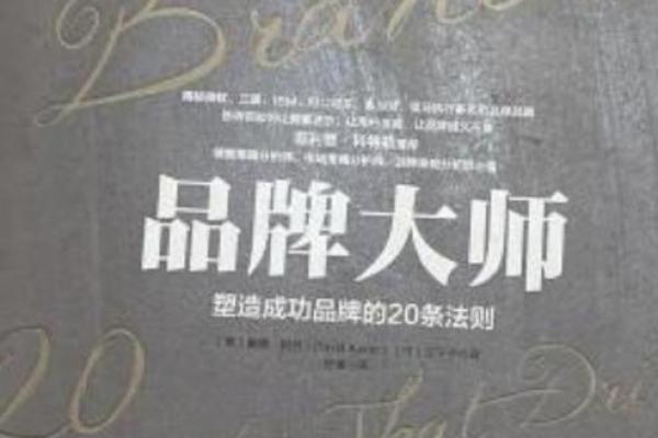 驰名公司背后的成功秘诀与品牌构建策略 驰名公司背后的成功秘诀与品牌构建策略