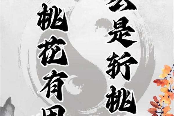 男命双桃花是否预示着感情中的多次选择