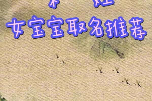 为宋姓男宝宝起名字：传承与创新并重