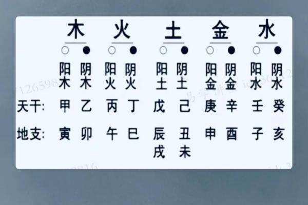 八字命理：如何看懂你的未来？