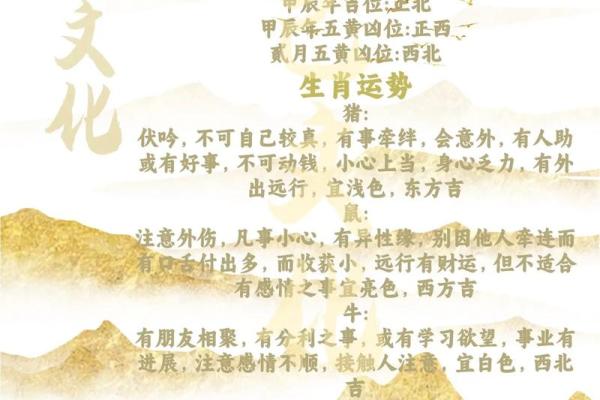 今日生肖运势解析,掌握好运与挑战 今日生肖运势解析,掌握好运与挑战