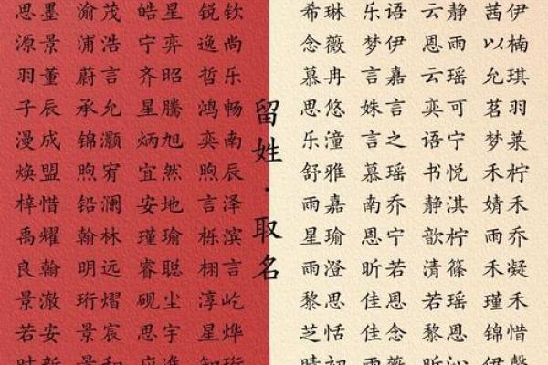 宝宝起名字免费评分，轻松为宝贝取个好名字