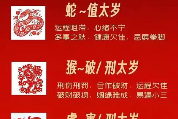 本命年蛇男的理财风险与机会 本命年蛇男的理财风险与机会