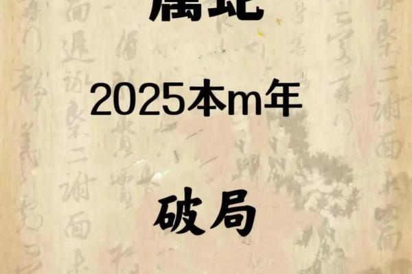 本命年蛇男的理财风险与机会 本命年蛇男的理财风险与机会