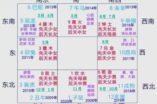 出生的人命运走向揭秘 出生的人命运走向揭秘