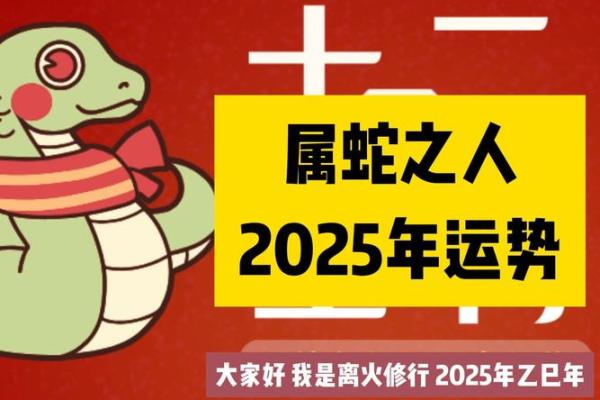 属蛇运势解析与发展机遇 属蛇运势解析与发展机遇
