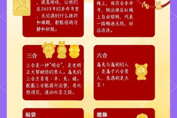 兔男本命年如何应对职场上的挑战 兔男本命年如何应对职场上的挑战