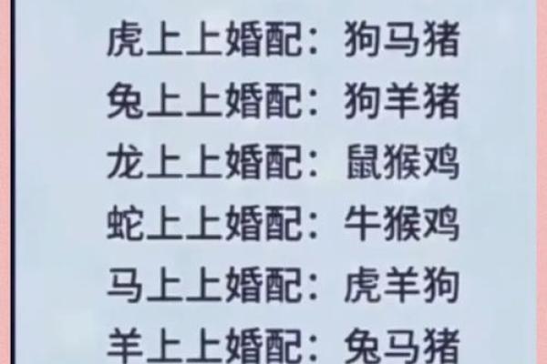 猴子和鼠的生肖配对是否和谐 猴子和鼠的生肖配对是否和谐