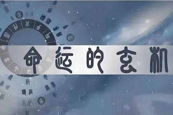 四两为何被认为是中下命的象征分析 四两为何被认为是中下命的象征分析