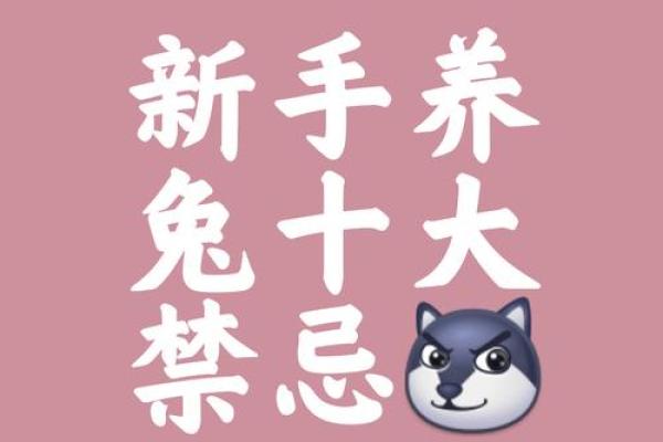 本命年兔男如何保持健康的生活方式 本命年兔男如何保持健康的生活方式