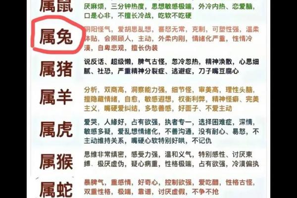 宠物与五行：如何根据五行调理宠物的健康与运势
