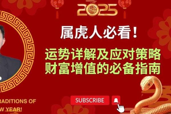 本命年属虎的情感生活与事业规划 本命年属虎的情感生活与事业规划