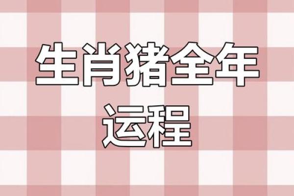 属猪人士每月运势解析 属猪人士每月运势解析