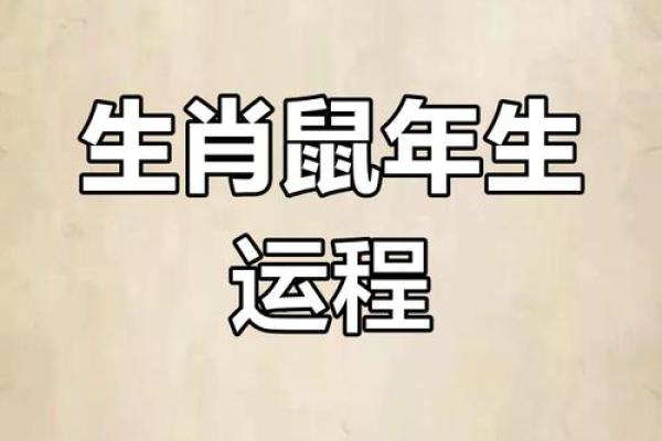 鼠年运程月份指南:如何应对每个月的挑战与机会 鼠年运程月份指南:如何应对每个月的挑战与机会