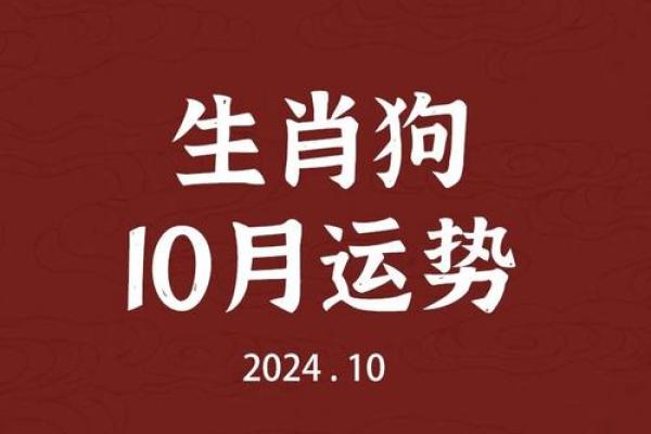 属狗人每月运势指南,带你走过全年运势起伏 属狗人每月运势指南,带你走过全年运势起伏