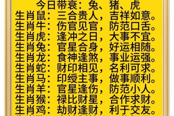 出生的你，五行和生肖如何影响人生运势