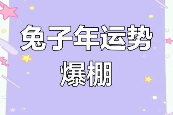 属兔人一生运势如何变化?详解关键转折点 属兔人一生运势如何变化?详解关键转折点