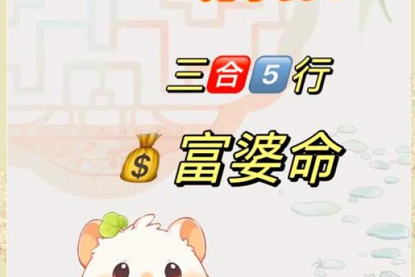 属鼠人今年财运如何?一探运势的升降趋势 属鼠人今年财运如何?一探运势的升降趋势