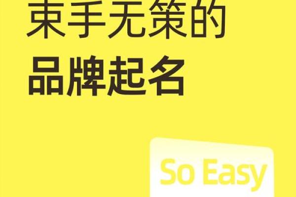 北京起名社：专业命名服务助力品牌成功