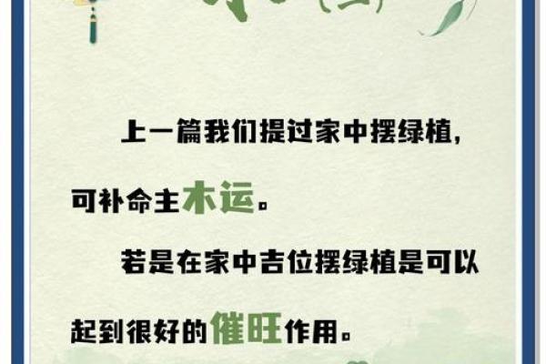 藏历五行揭秘：如何运用五行理论提升生活运势？