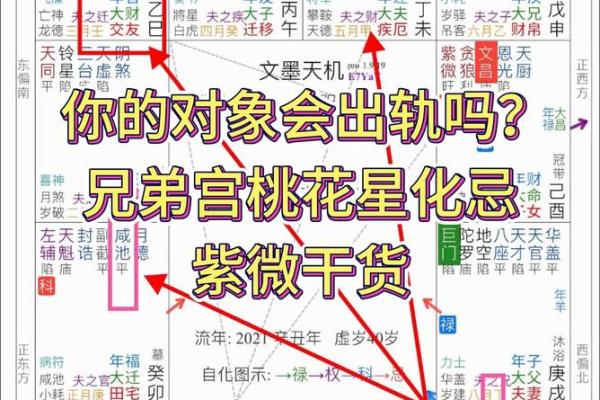男命双桃花如何影响感情生活，如何找到平衡