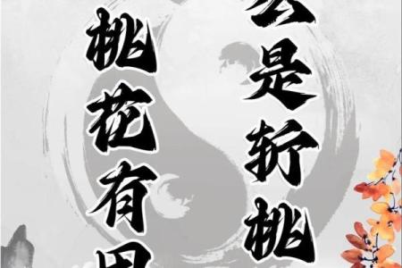 男命双桃花是否预示着感情中的多次选择