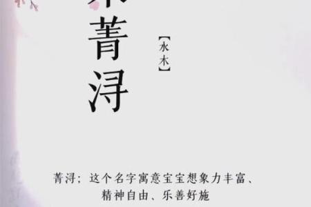 为宋姓男宝宝起名字：传承与创新并重