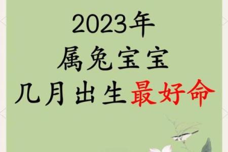 出生的人属兔的特点与运势分析