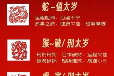 本命年蛇男的理财风险与机会