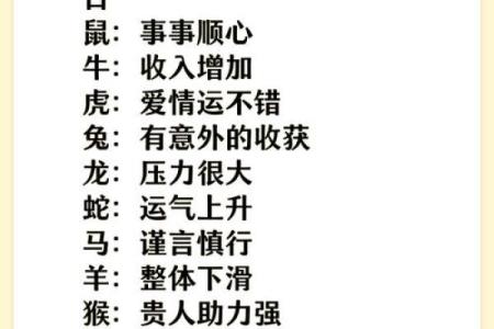 运势全面解读：你该如何规划新一年的生活