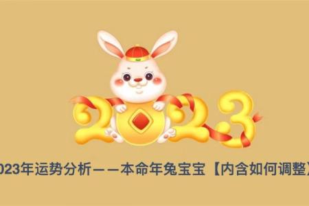 兔男本命年如何应对职场上的挑战
