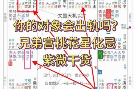 如何看男命中的双桃花，感情运势是好是坏