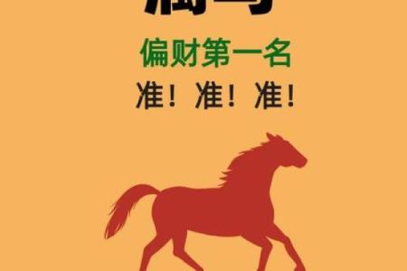 属马办公室风水布局提升运势的五个关键技巧