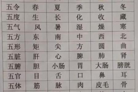 悲五行属性解析：如何理解悲与五行的深刻联系