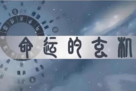 四两为何被认为是中下命的象征分析
