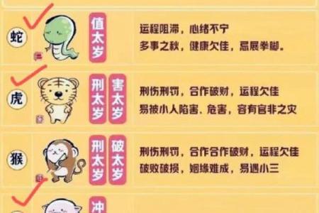 辰象征风水中的吉祥物与意义解析
