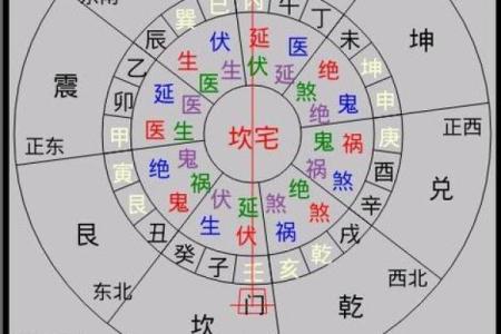 从李双林家居风水视频全集学会提升家居运势的秘密