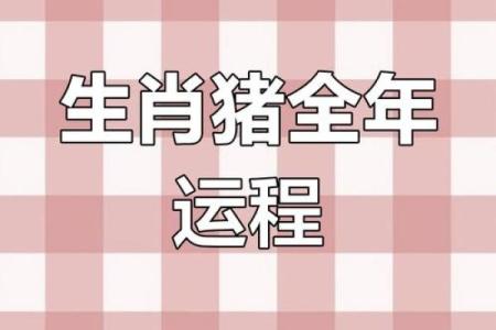 属猪人士每月运势解析