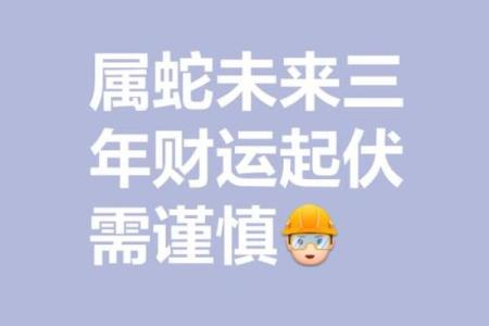 本命年蛇女如何面对事业的波动