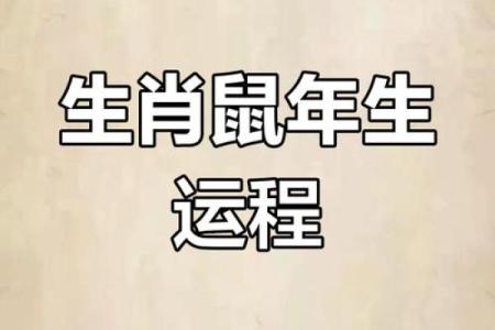鼠年运程月份指南：如何应对每个月的挑战与机会