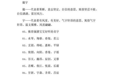 猪年宝宝起名指南：如何为宝宝选择吉祥名字