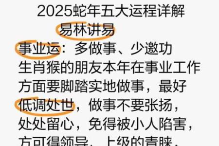 属猴每月运势解析：如何迎接各月挑战与机遇