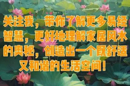 曾祥裕风水的核心理念 让你生活更顺畅